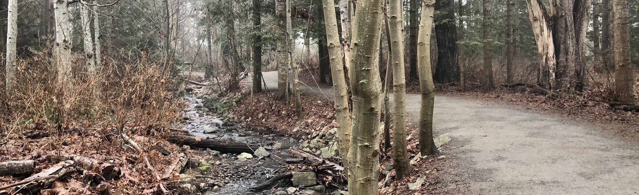 Valley View Greenway, British Columbia, Canada 127 Reviews, Map