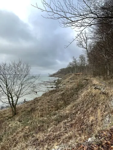 Udforsk Naturpark Lillebælt. Store naturoplevelser til hele familien.