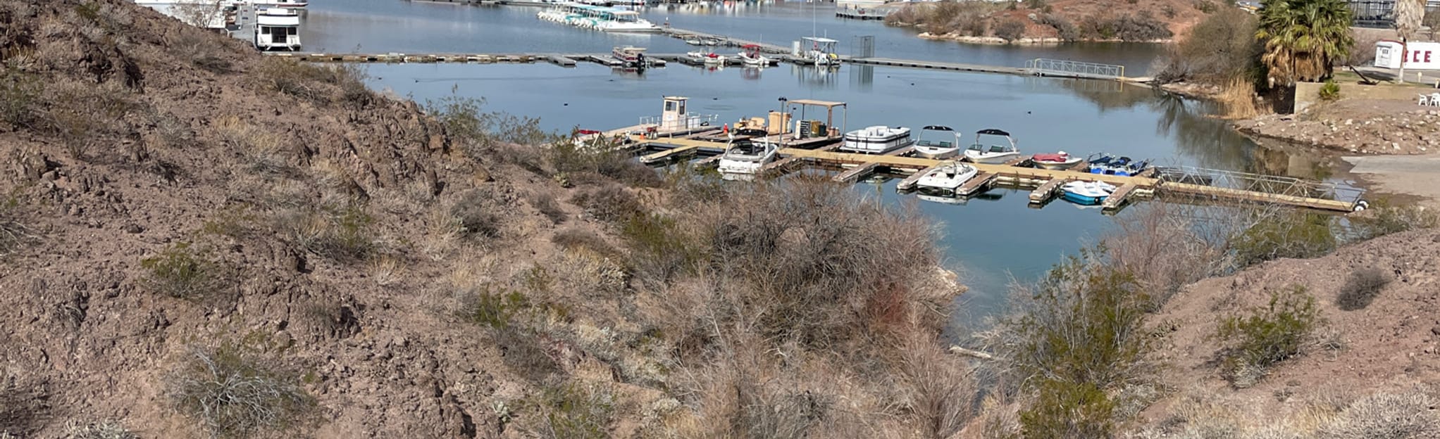 Katherine's Landing Fisherman's Trail 20 Reviews, Map Nevada AllTrails