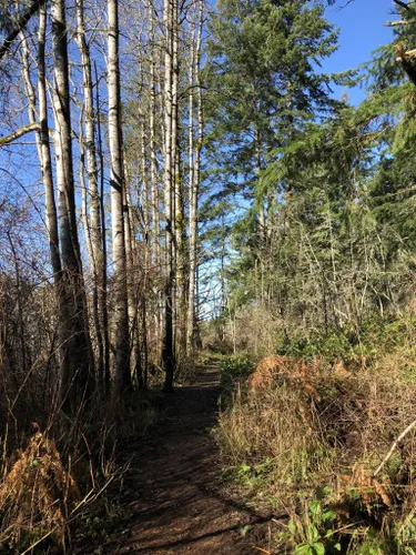 2023 Best Easy Trails In Comox Valley B | AllTrails