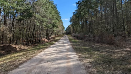 De 10 beste routes in Sam Houston - EyJidWNrZXQiOiJhc3NldHMuYWxsdHJhaWxzLmNvbSIsImtleSI6InVwbG9hZHMvcGhvdG8vaW1hZ2UvNDQyNTcyMDgvZjU2NDZiYmEzMzUyM2U2MTA2ZDVjNjhhZTBjZmZiZGQuanBnIiwiZWRpdHMiOnsidG9Gb3JtYXQiOiJqcGVnIiwicmVzaXplIjp7IndpZHRoIjo1MDAsImhlaWdodCI6NTAwLCJmaXQiOiJpbnNpZGUifSwicm90YXRlIjpudWxsLCJqcGVnIjp7InRyZWxsaXNRdWFudGlzYXRpb24iOnRydWUsIm92ZXJzaG9vdERlcmluZ2luZyI6dHJ1ZSwib3B0aW1pc2VTY2FucyI6dHJ1ZSwicXVhbnRpc2F0aW9uVGFibGUiOjN9fX0=