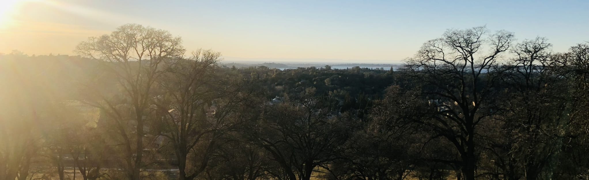 Walker Ridge Trail, California 28 Reviews, Map AllTrails