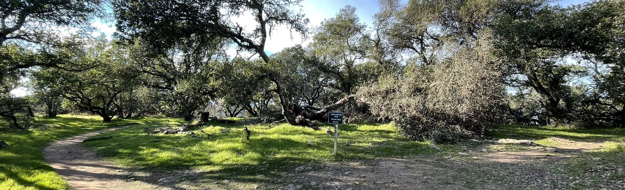 Skyline Park Perimeter Loop: 408 Reviews, Map - California | AllTrails