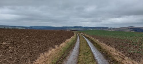Pfälzer Höhenweg Etappe 4: Rockenhausen - Obermoschel