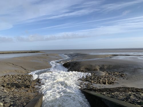 Langwarder Groden - Wattenmeer