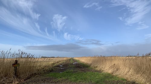 Langwarder Groden - Wattenmeer