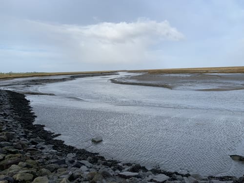 Langwarder Groden - Wattenmeer