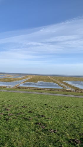 Langwarder Groden - Wattenmeer