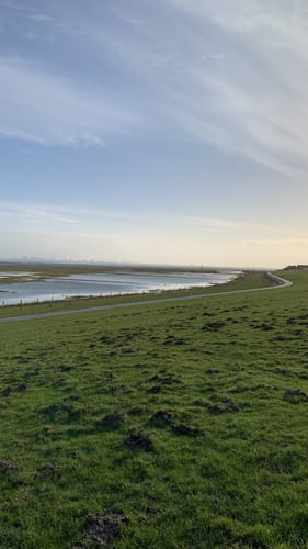 Langwarder Groden - Wattenmeer