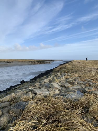 Langwarder Groden - Wattenmeer