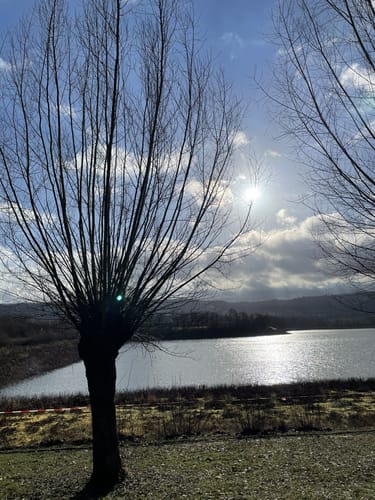 Löwenstein und Breitenauer See