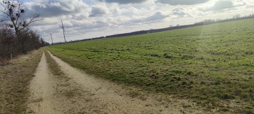 Gestüt Schlenderhahn (Quadrath-Ichendorf A3)