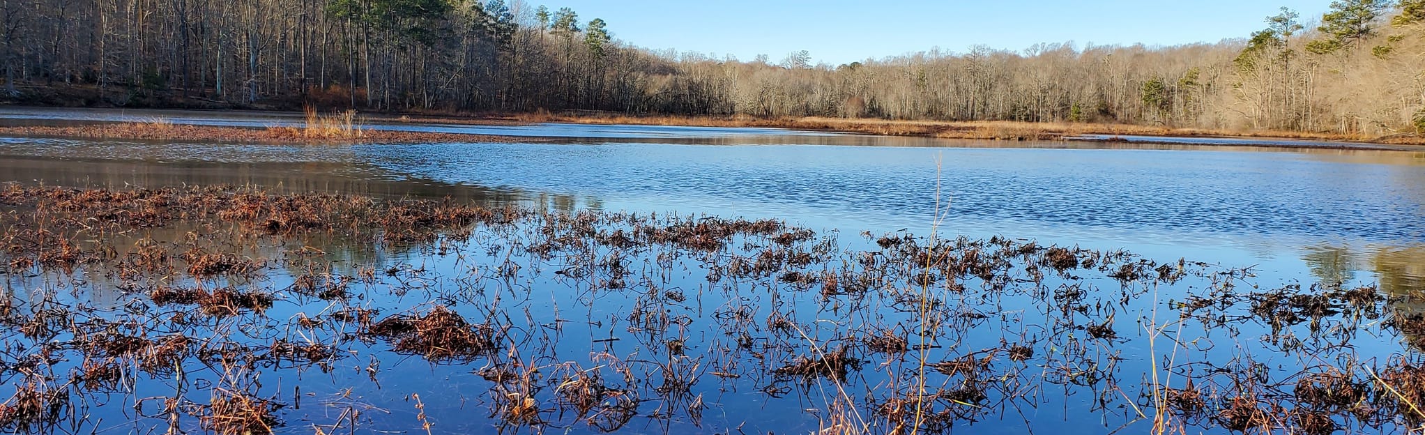 Beaver Lake Trail 1702 Reviews, Map Virginia AllTrails