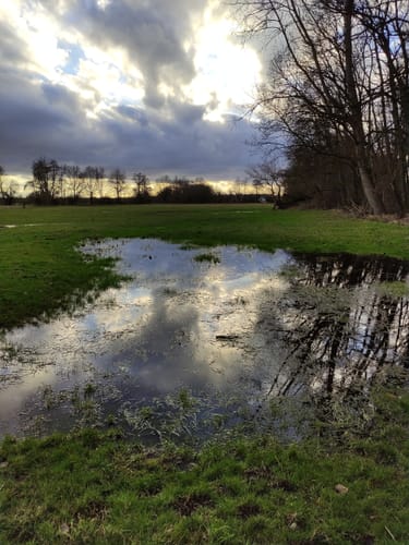 Naturschutzgebiet Weidewiesen-Oberwald bei Erlensee ab Limespark