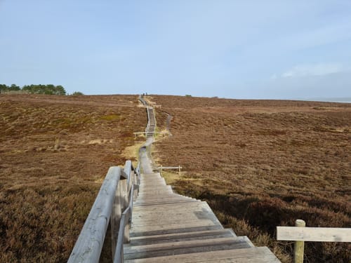 Durch die Braderuper Heide