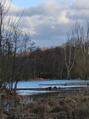 Naturschutzgebiet Weidewiesen-Oberwald bei Erlensee ab Limespark