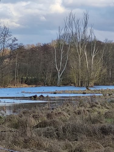 Naturschutzgebiet Weidewiesen-Oberwald bei Erlensee ab Limespark