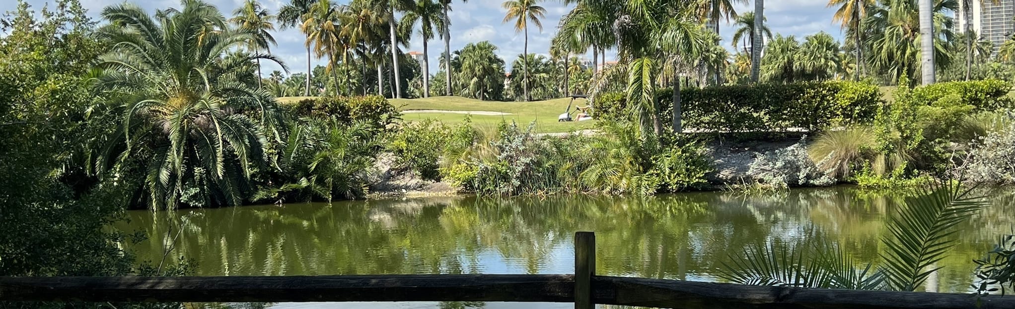 Don Soffer Exercise Trail, Florida - 146 Reviews, Map | AllTrails