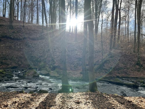 Grüner Steig und Seenweg durchs Westerburger Land