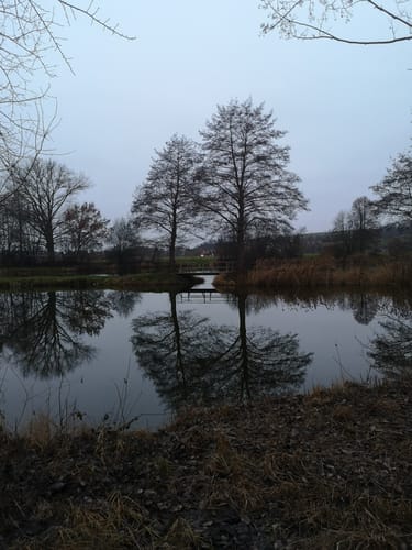 Böddiger Fischteiche