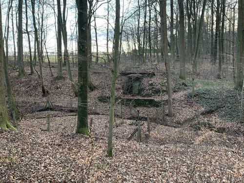 Rund um Hof Rembs (Ransbach-Baumbach RB5)