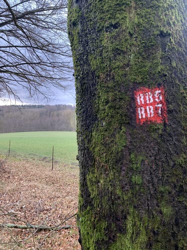 Rund um Hof Rembs (Ransbach-Baumbach RB5)