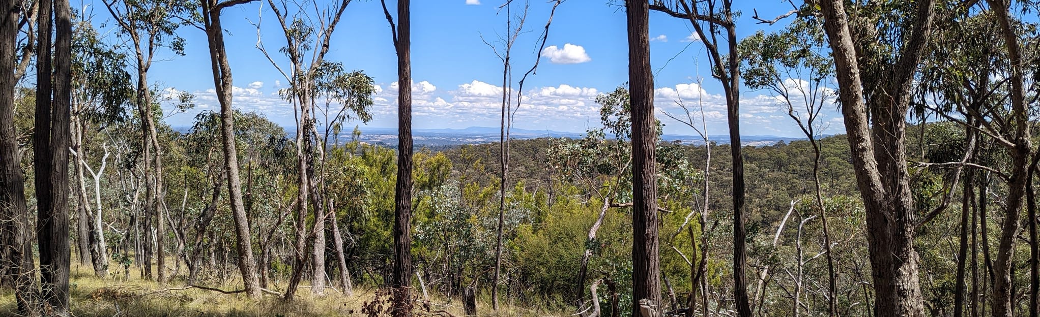 Happy Valley Track to One Tree
