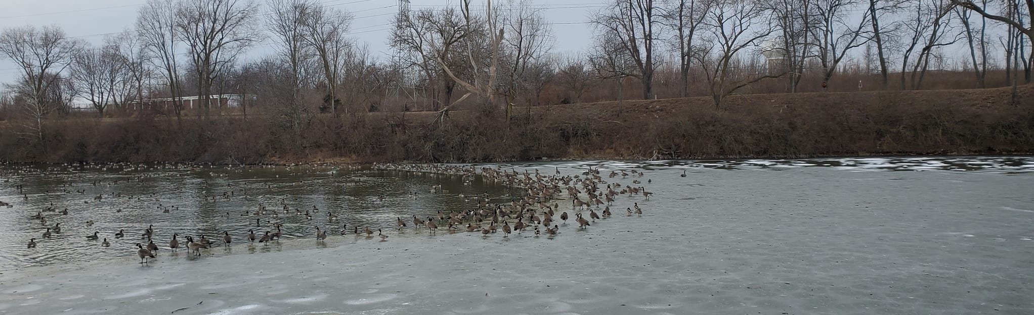 Kaufman Lake and Heritage Park Loop 42 Reviews, Map Illinois AllTrails