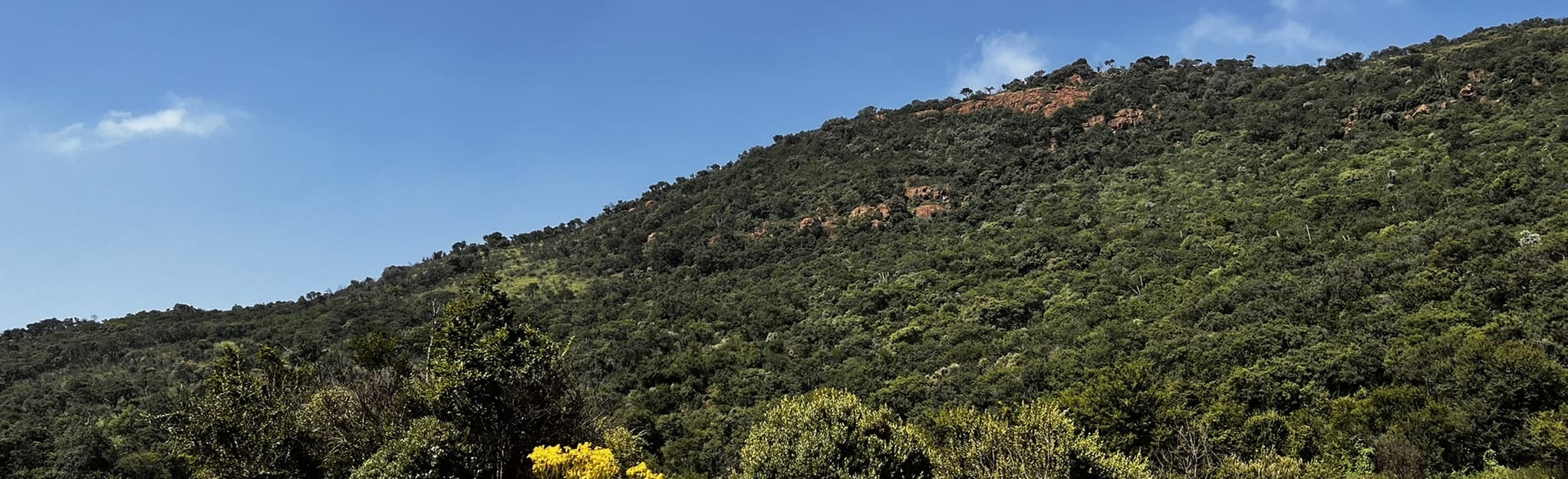 Klipriviersberg Loop, Gauteng, South Africa 57 Reviews, Map AllTrails