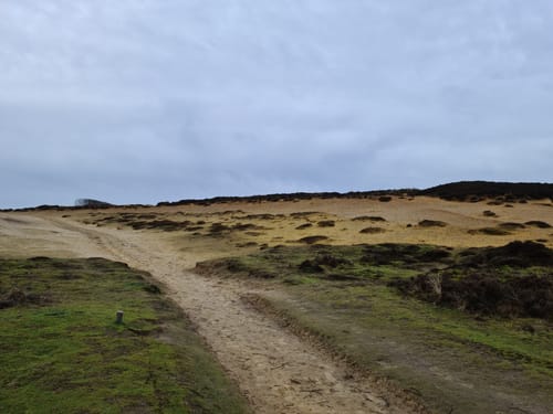 Rundweg am Morsum Kliff