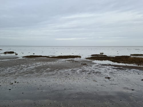 Rundweg am Morsum Kliff