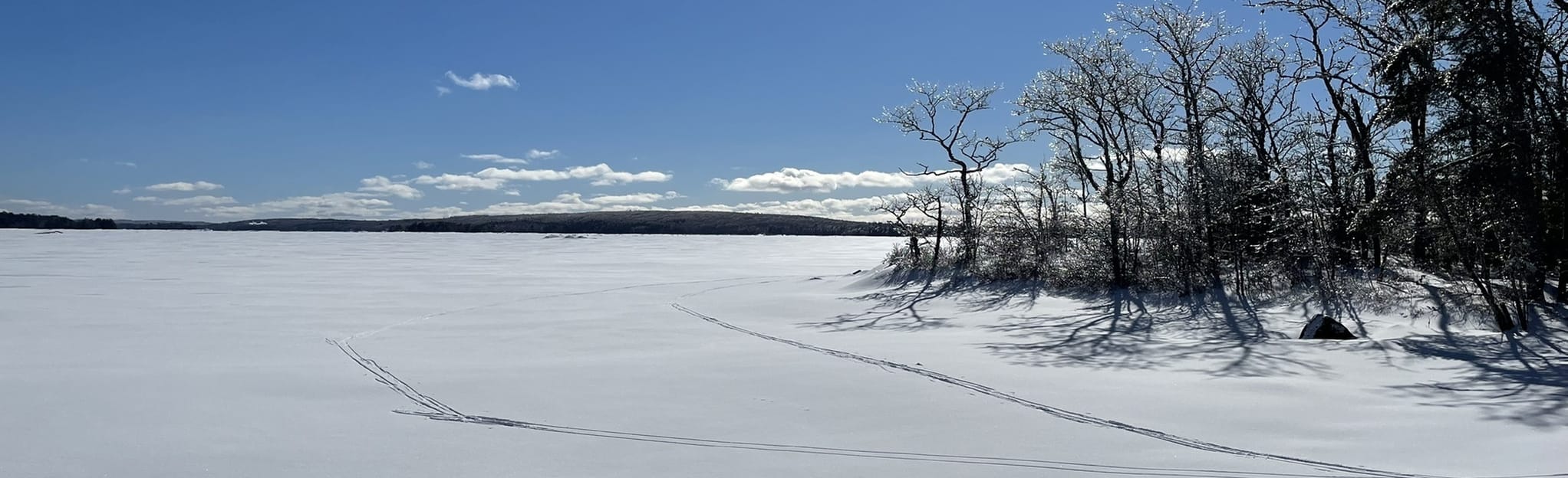 Gaspereau Lake Paddle, Nova Scotia, Canada 33 Reviews, Map AllTrails