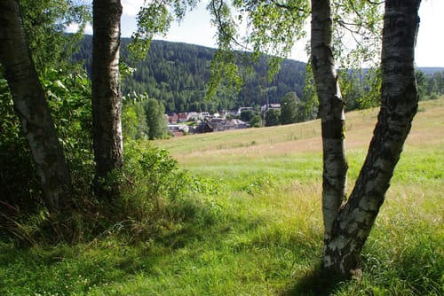 Jägersgrün - Klingenthal