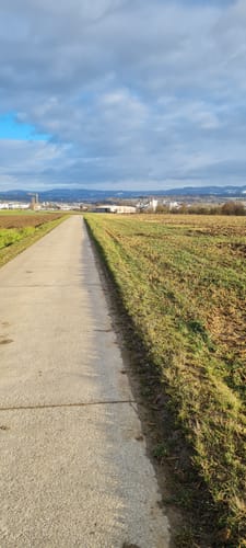 Sauhag ab Köngen