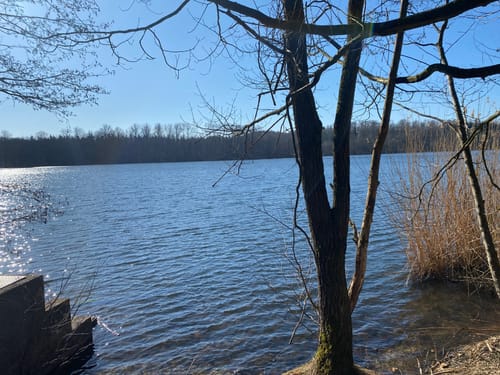 Seenrunde Liblar