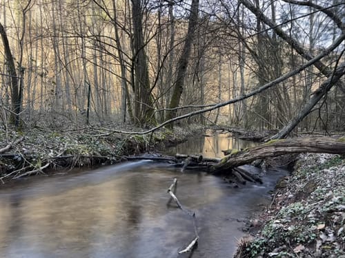 Von Eselsfürth durchs Eselsbachtal