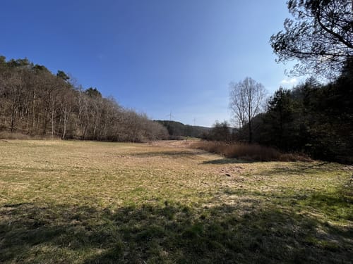 Von Eselsfürth durchs Eselsbachtal