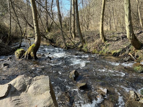 Von Eselsfürth durchs Eselsbachtal