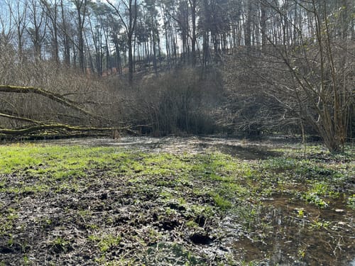 Von Eselsfürth durchs Eselsbachtal