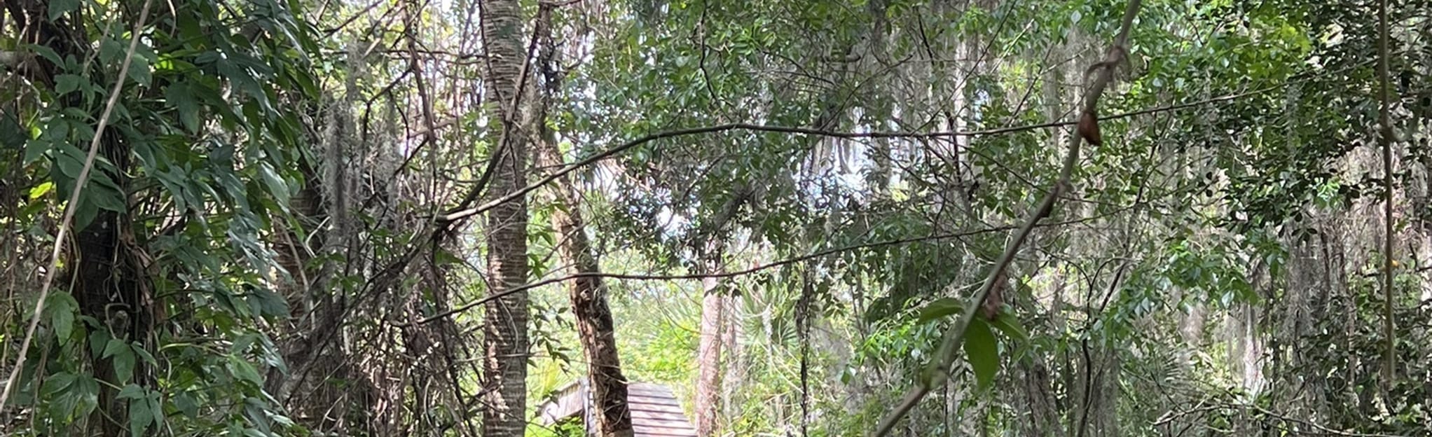 Grapefruit Trails Loop, Florida 97 Reviews, Map AllTrails