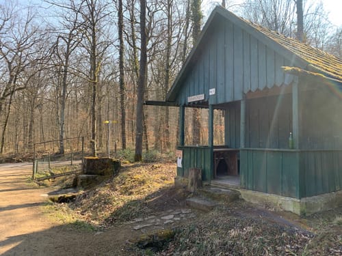 Katzenbach Stausee - Weißer Steinbruch - Burgruine Blankenburg