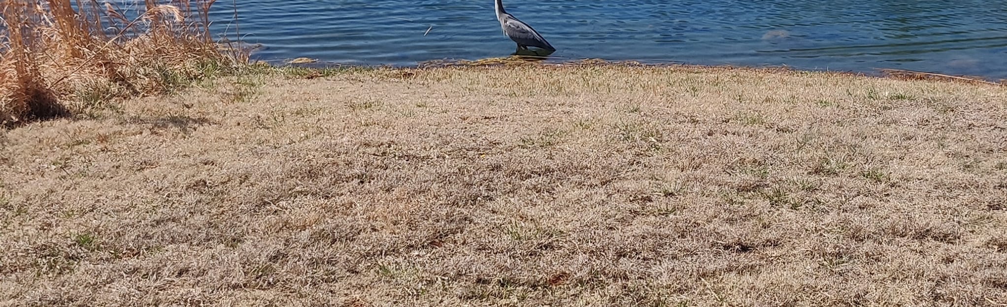 Pebblebrook Park Loop, Oklahoma 11 Reviews, Map AllTrails