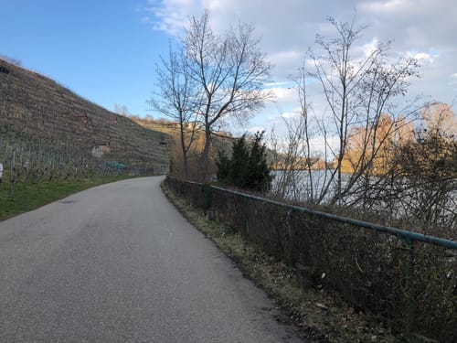 Von Bad Cannstatt zum Max-Eyth-See