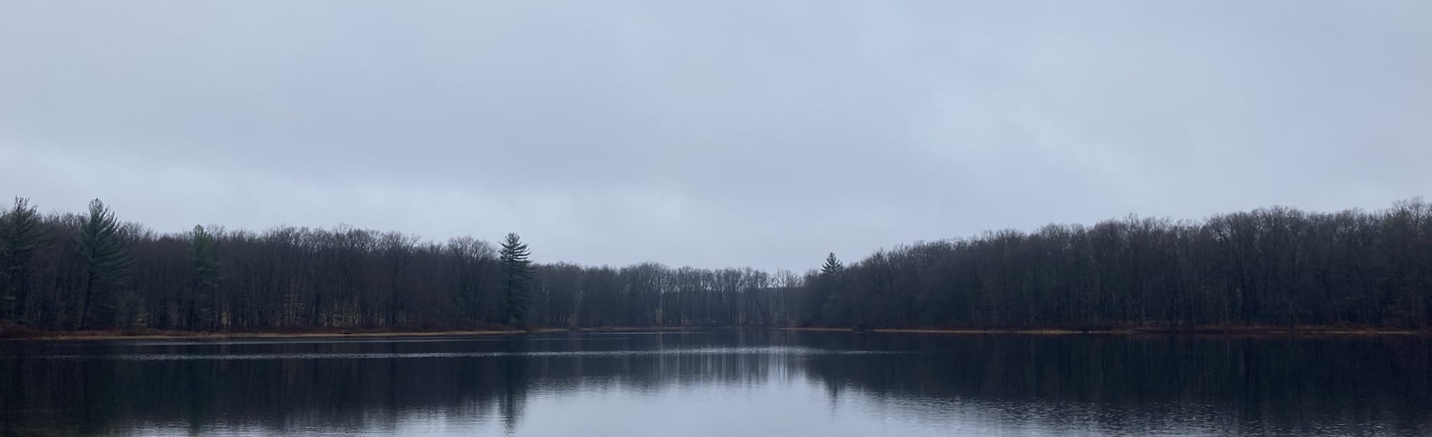 Ely Lake Swan Creek Connector Trail 13 Reviews, Map Michigan AllTrails