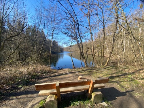 Seenrunde Liblar
