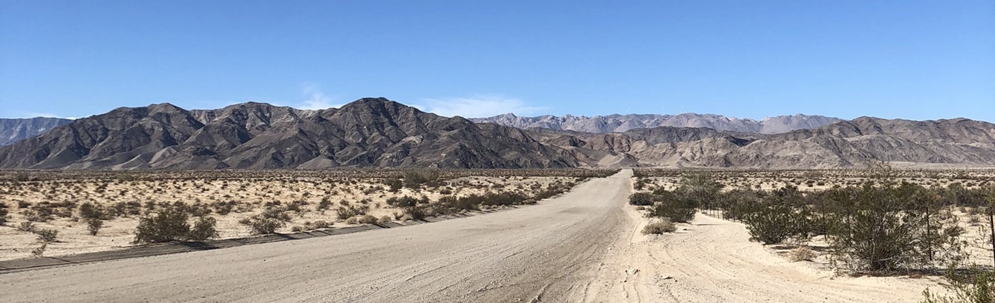 Crucifixion Thorn Preserve 8 fotos California AllTrails