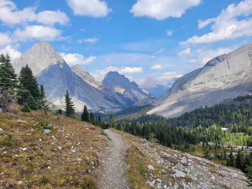 10 Best Hikes and Trails in Peter Lougheed Provincial Park | AllTrails