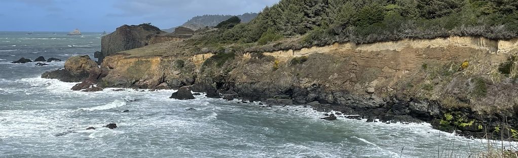 are dogs allowed at trinidad state beach