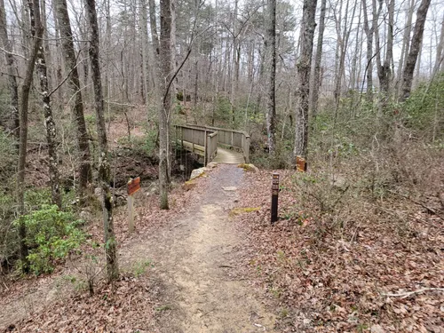 cloudland canyon mountain biking