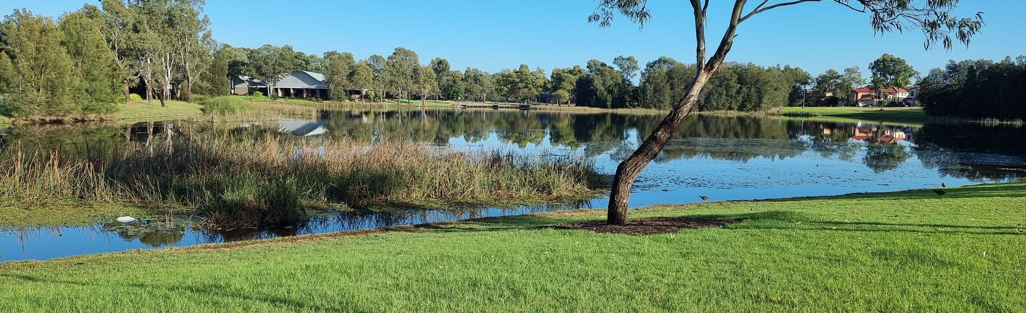 Lake Woodcroft Loop Map, Guide New South Wales, Australia AllTrails